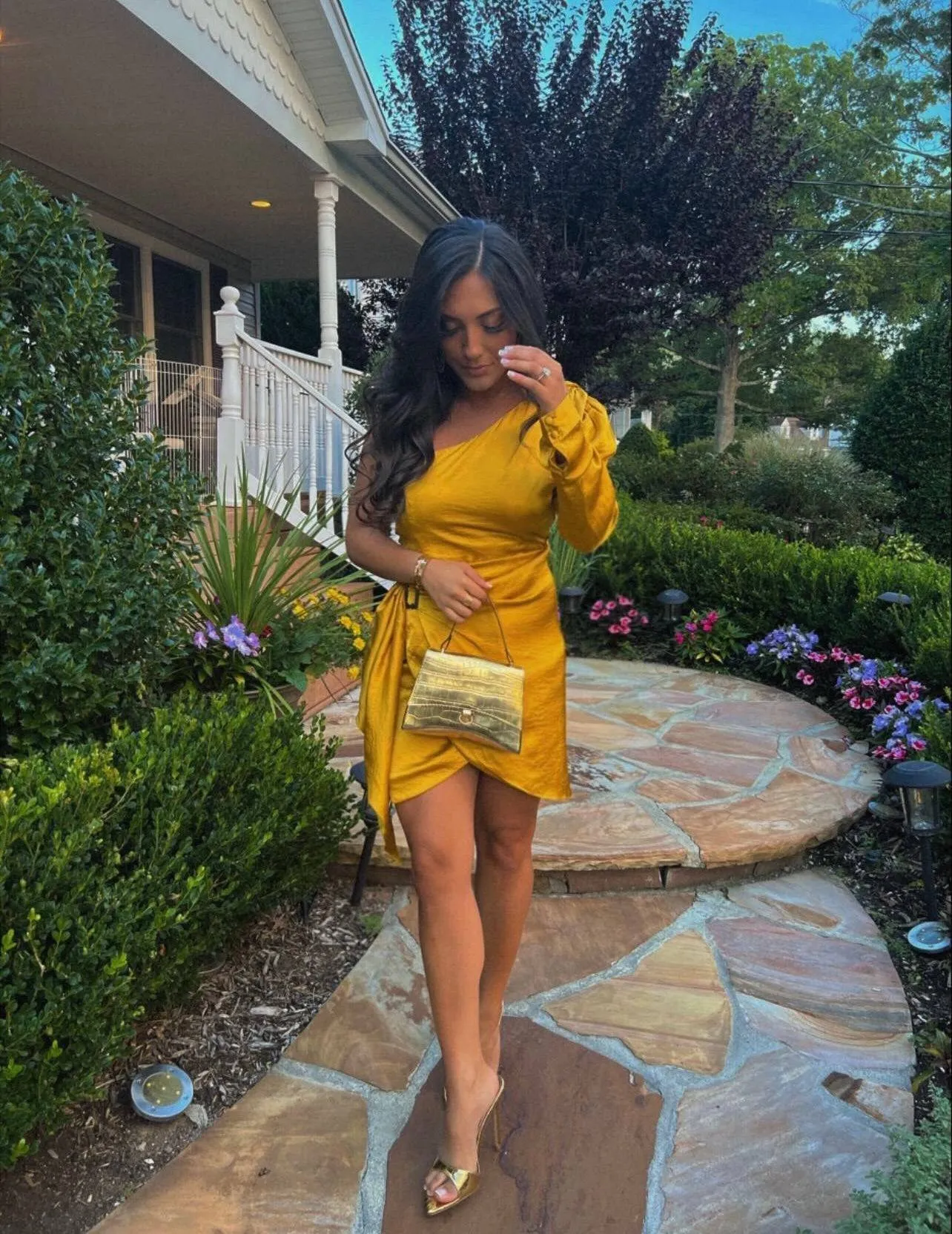 Ana Elegant Dress