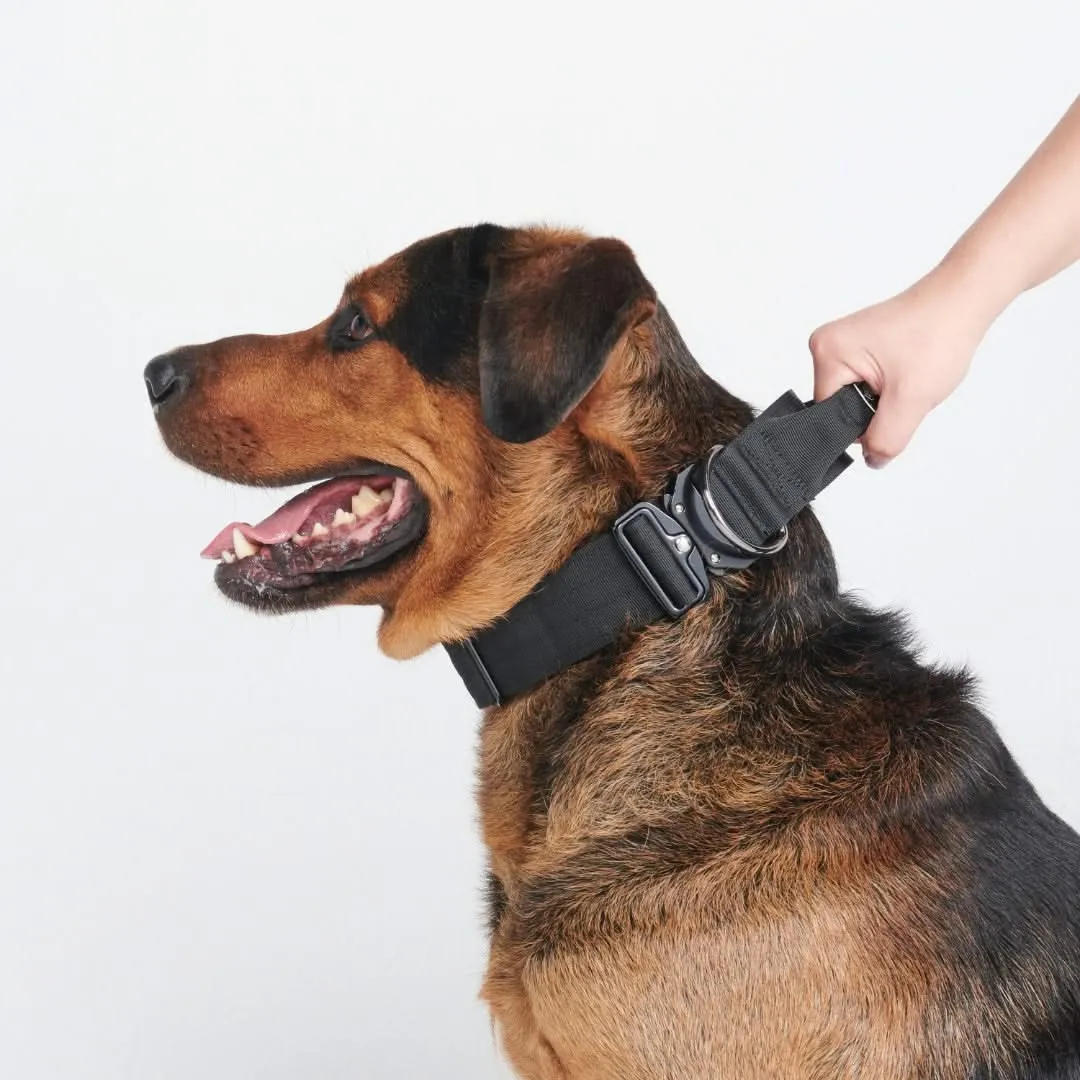 Comfort Control Collar Set - Black