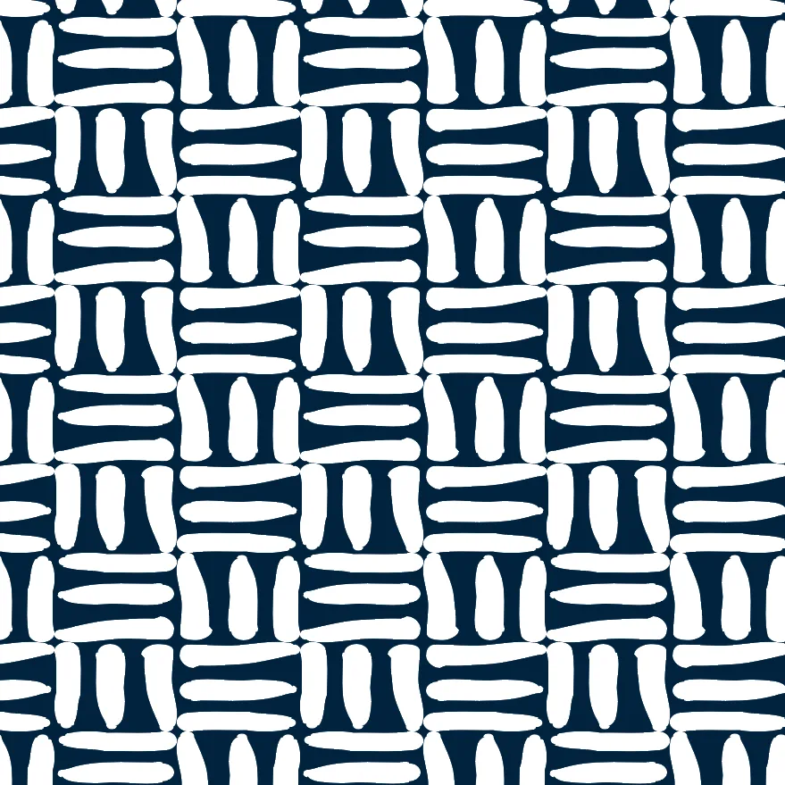 Echo Kids Unisex Swim Shorts - Reversible
